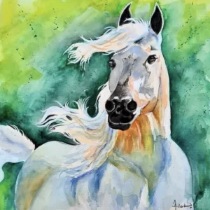 White Stallion, 16'’ X 12'’, Watercolour on paper