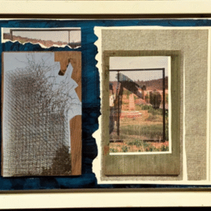 Assemblage Art 1