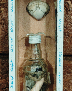 Assemblage Art 5